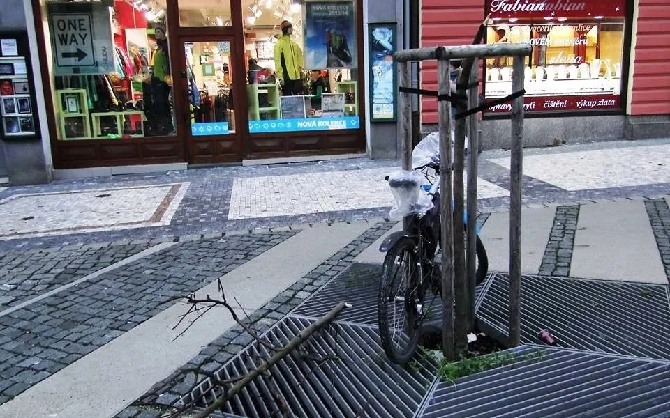 Strom kdosi zlomil přímo nad ohrazením.