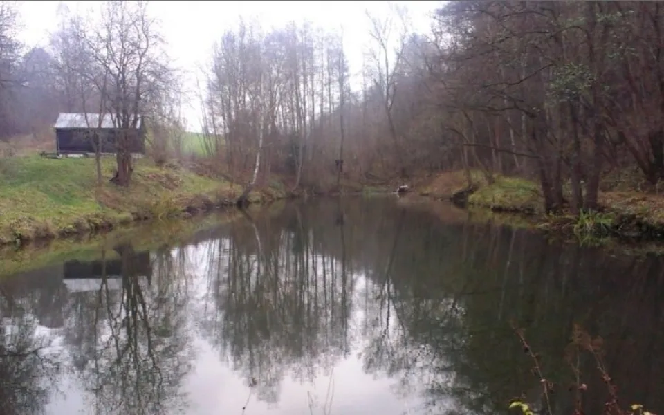 Hellerův rybník. Foto: rybáři Český Dub