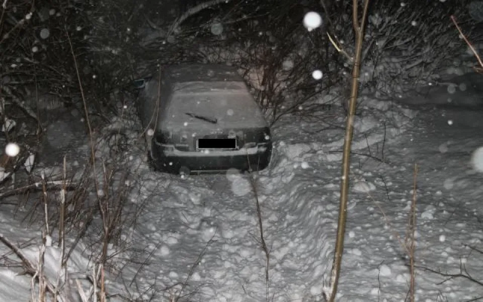 Audi skončila zapíchnutá mezi stromky. Foto: Policie ČR