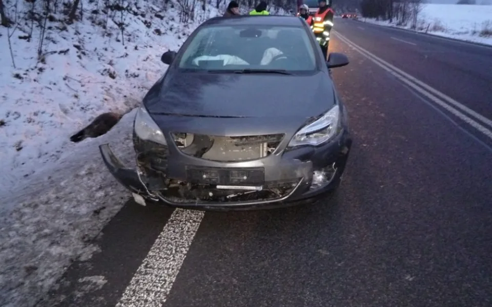 Následky srážky s divočáky. Foto: HZS LK
