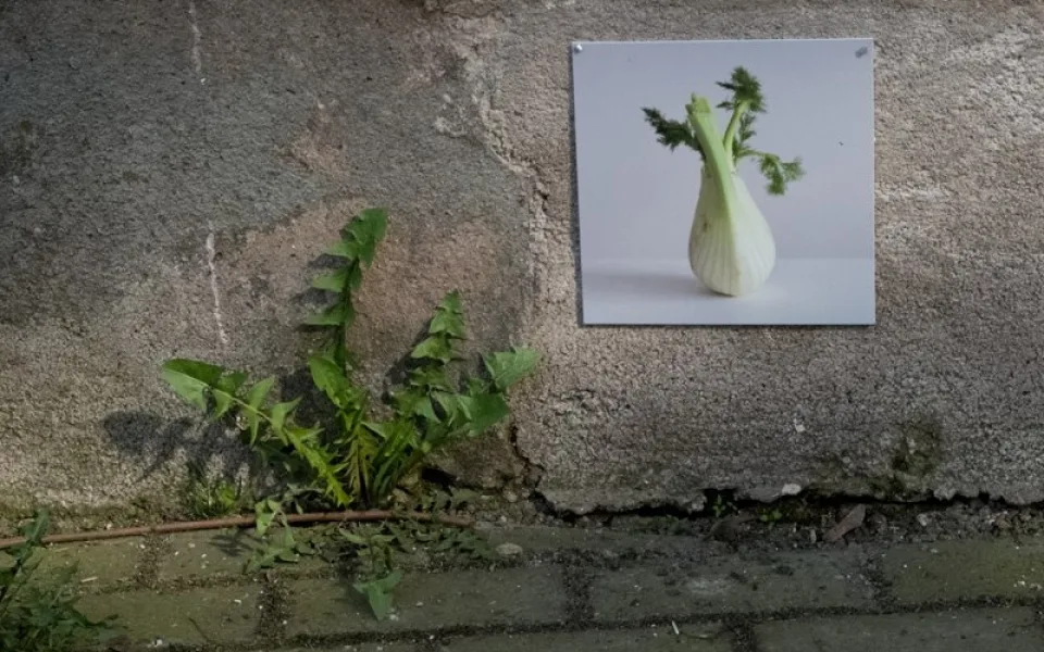 Jedna z fotografií na fasádě domu. Foto: fotoklub 7,65