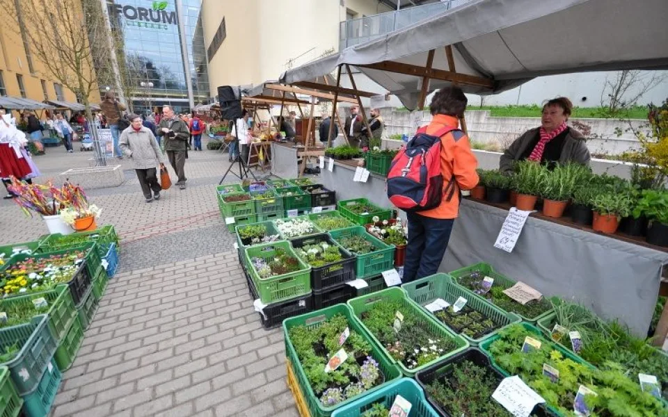 Slavnostní zahájení farmářských trhů proběhlo v pátek. Foto: Jan Král