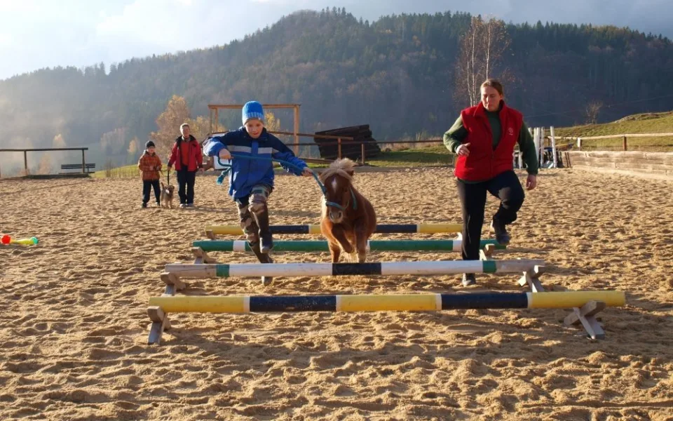 Den s koňmi. Foto: o.s. Svítání