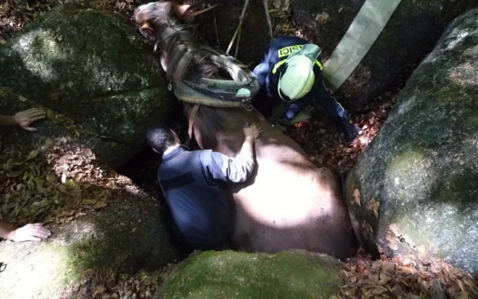 Hasiči se zapotili, tři hodiny tahali kobylu ze sevření balvanů. Foto: HZSLK