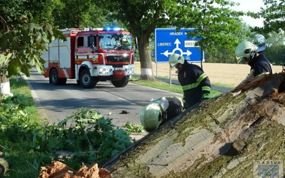 Hasiči strom odklidili během půl hodiny. Foto: Hasiči Hrádek nad Nisou