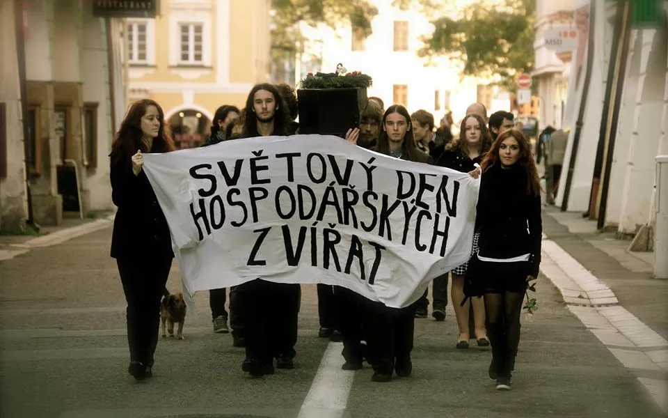 Smuteční pochod za hospodářská zvířata.