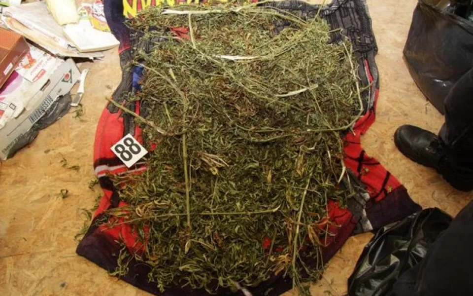 Další úspěch kriminálky. Zadržela sedm dealerů drog. Foto: Policie ČR