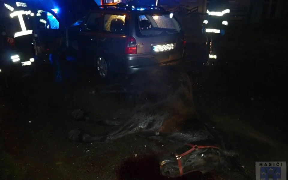 Tvrdý náraz v Oldřichově. Řidička večer usmrtila koně. Foto: Hasiči Hrádek nad Nisou