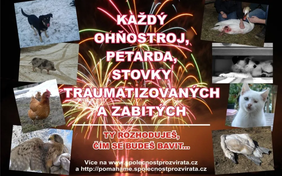 PLAKAT-STOP-zabavni-pyrotechnika