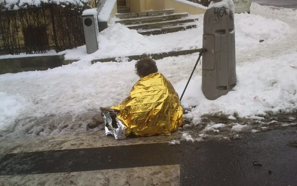 Zraněná stařenka. Foto: MP Liberec