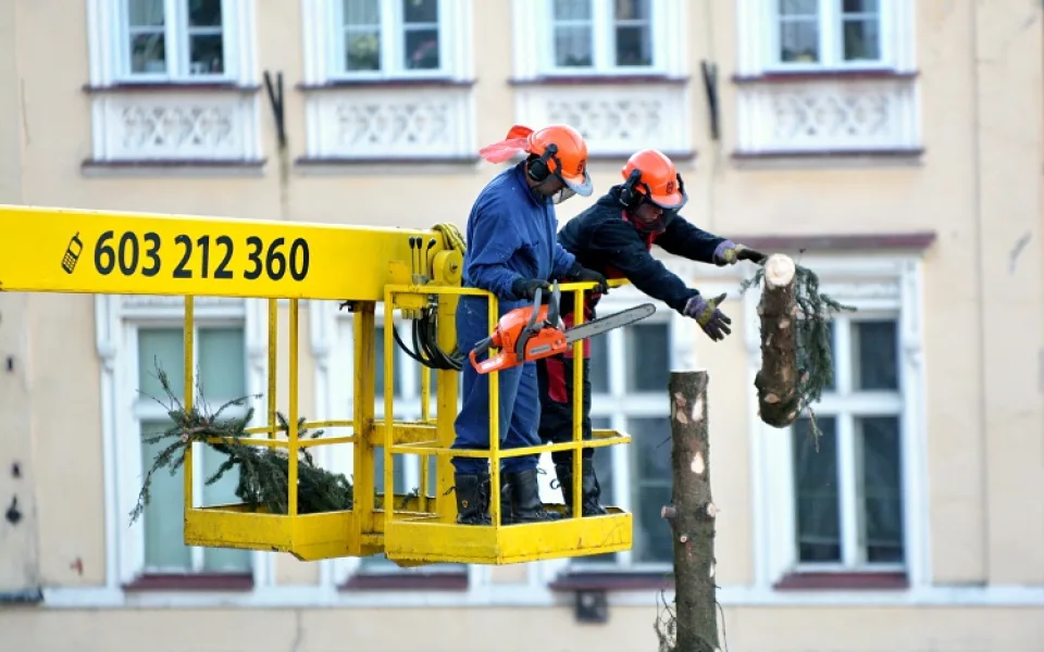A je po Vánocích. Na náměstí pokáceli strom. Foto: Jan Král