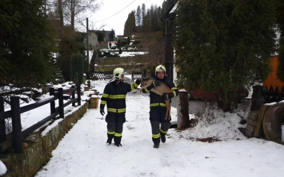 Pletivo polapilo srnku, vyprostit ji museli až hasiči. Foto: HZSLK