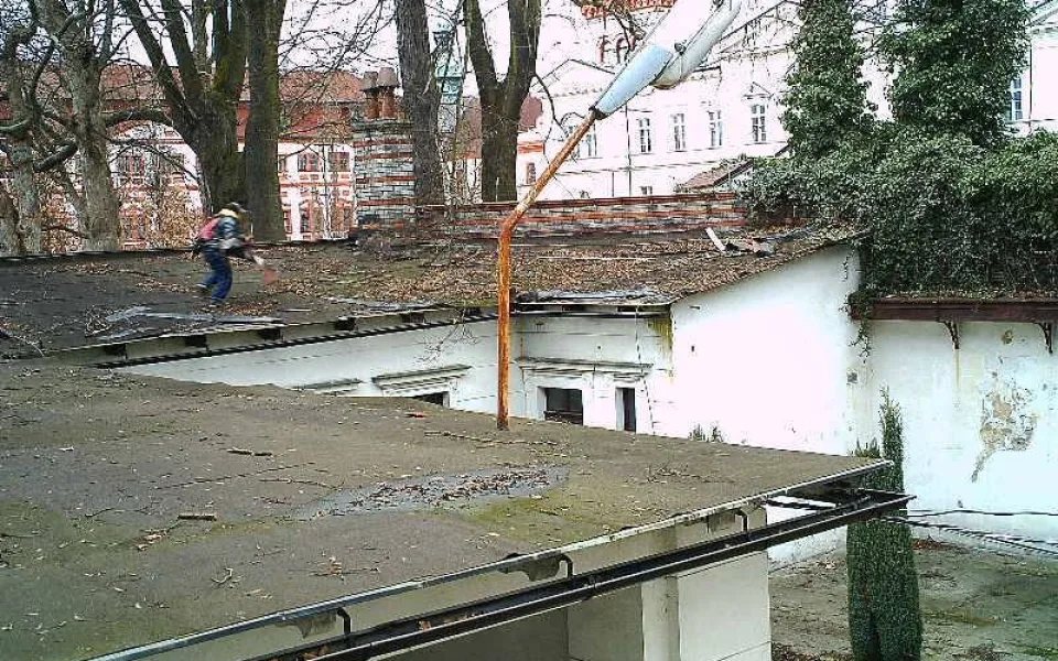 Záběr z fotopasti. Foto: MP Liberec