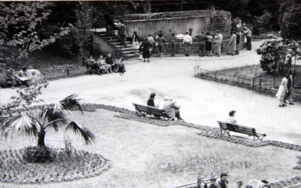 Expozice ledních medvědů v zoo Liberec 1958