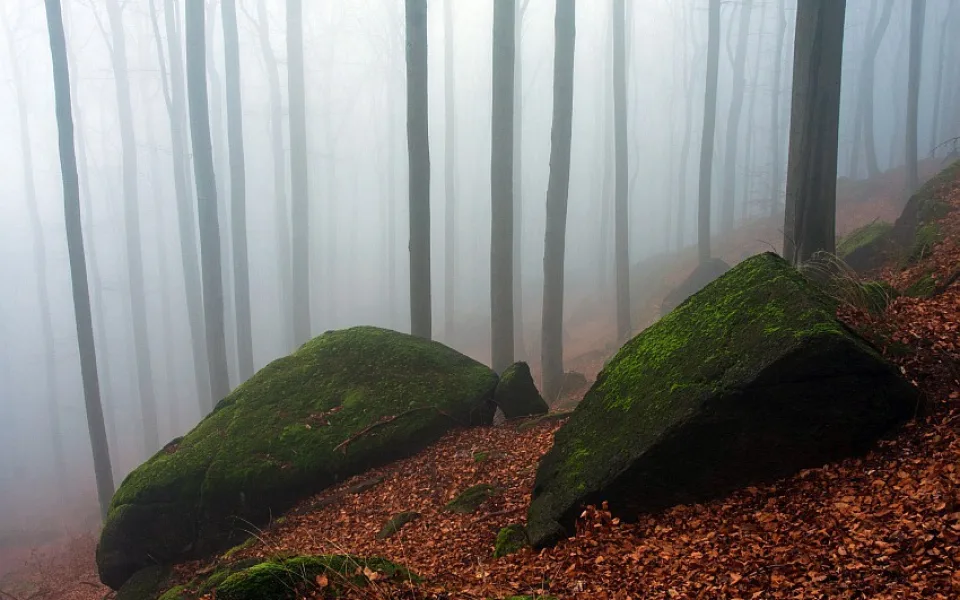 Ilustrační foto: Fotoaparat.cz/Jiří Zuzánek