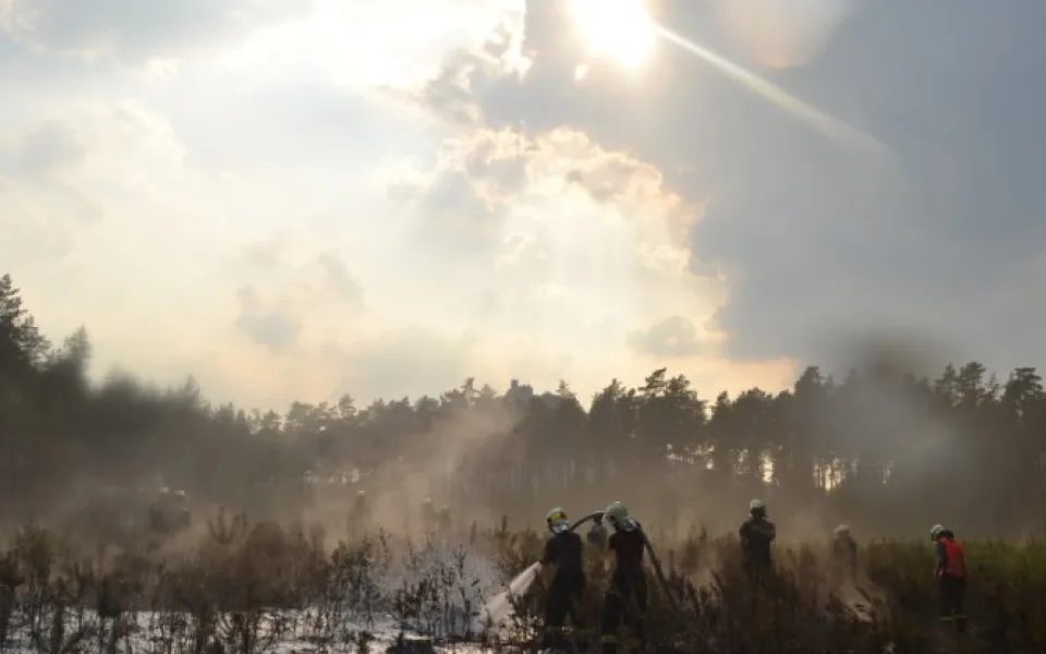 Požár lesa u Bezdězu se podařilo v noci uhasit. Foto: HZSLK