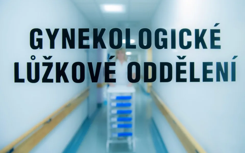Ilustrační foto:KNL