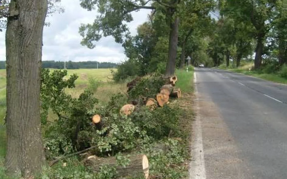 Ilustrační foto: Pertoltice