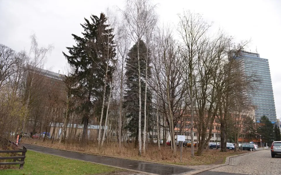 Park za Domem kultury