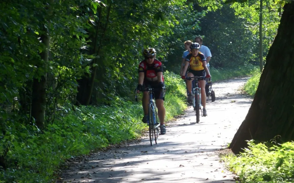 Greenway Jizera