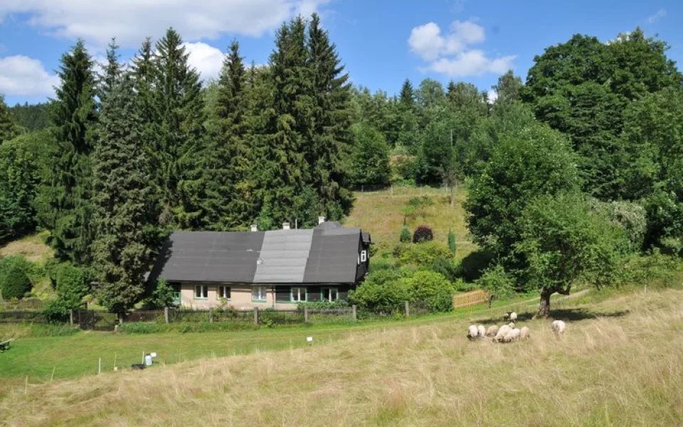 Pastva v Lukášově