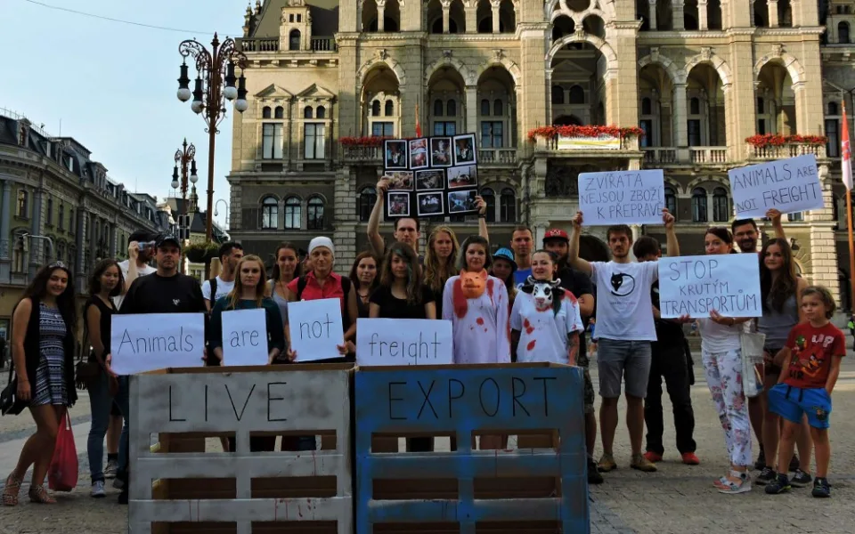 Před libereckou radnicí se demonstrovalo. Několik desítek lidí vyjádřilo nesouhlas s utrpením zvířat