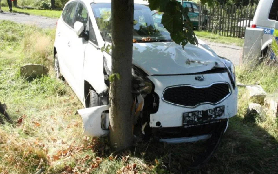 Řidič zapomněl zabrzdit své auto, zastavilo se až o nedaleký strom