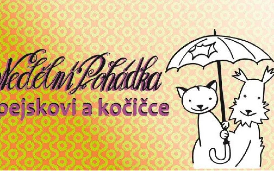 Ilustrační foto