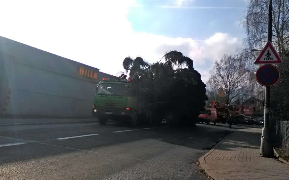 Vánoční strom míří na náměstí