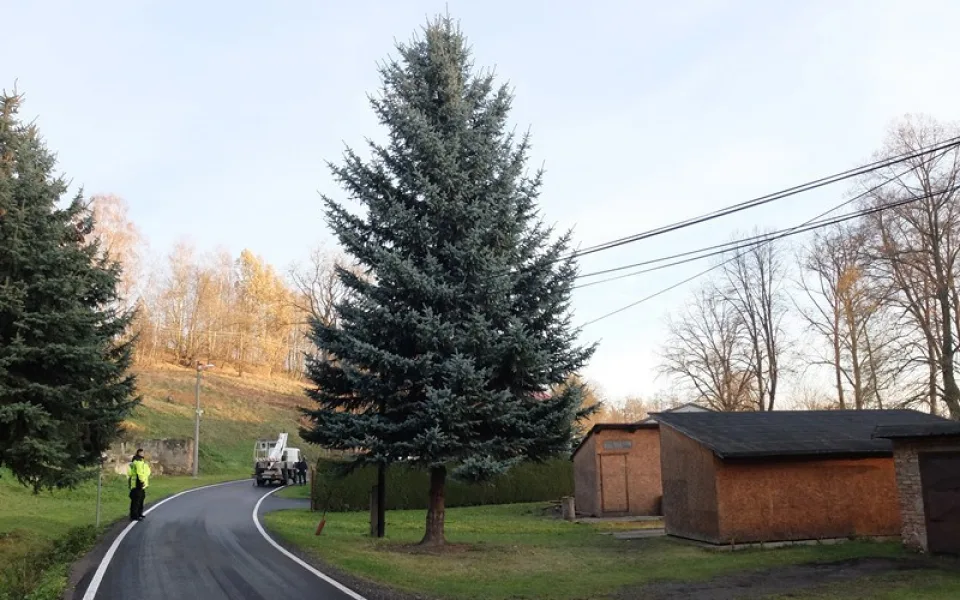 Vánoční strom mají už také ve Frýdlantu