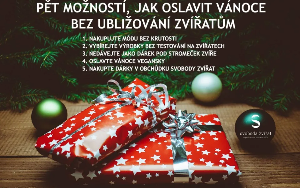 Ilustrační foto