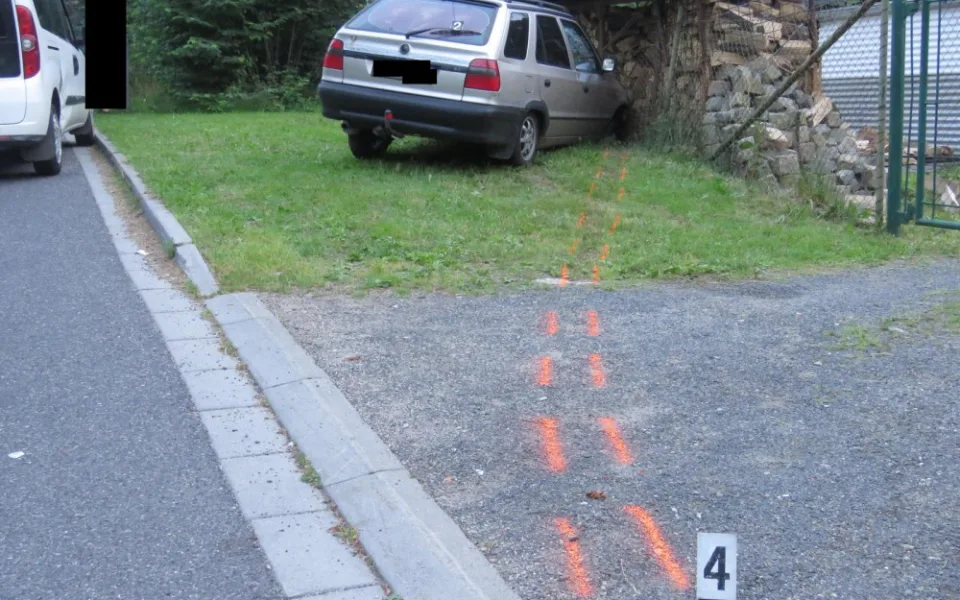 Řidič skončil v přístřešku na dřevo.