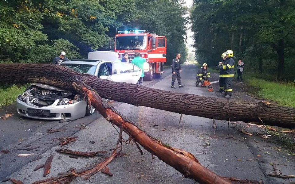 Na auto spadl strom.