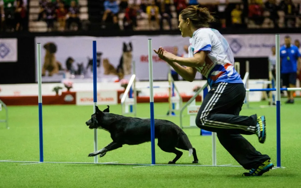Tereza Králová a Explosive Essay - vítězky European Open 2016 (Mistrovství Evropy)
