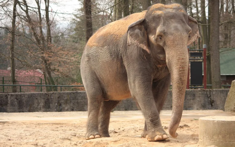 ilustrační foto.