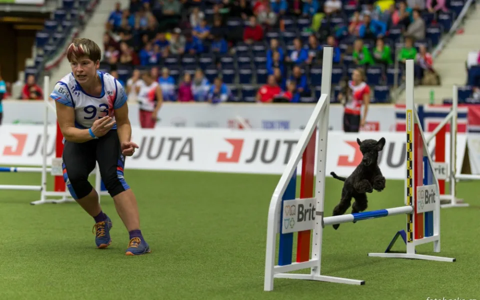 Home Credit Aréna patřila psům. Liberec hostil mistrovství světa v agility.
