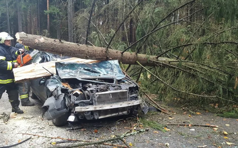 Strom spadl na auto v Kuřivodech.