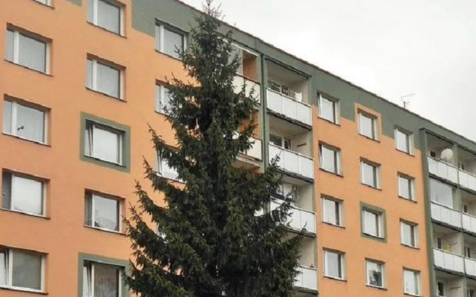 Vánoční strom dorazí na náměstí za týden. Zamíří tam ze sídliště Broumovská.