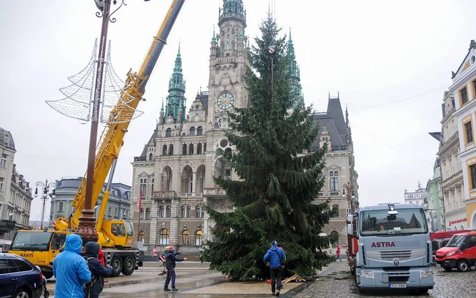 Vánoční strom dorazil na náměstí. Zítra se začne s jeho zdobením.