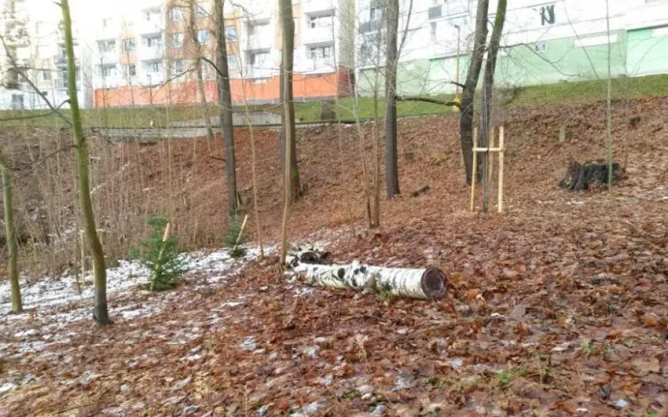 Lokalita Vysoká.