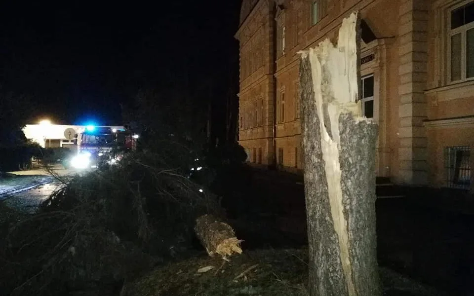 Zlomený strom v areálu frýdlantské nemocnice.