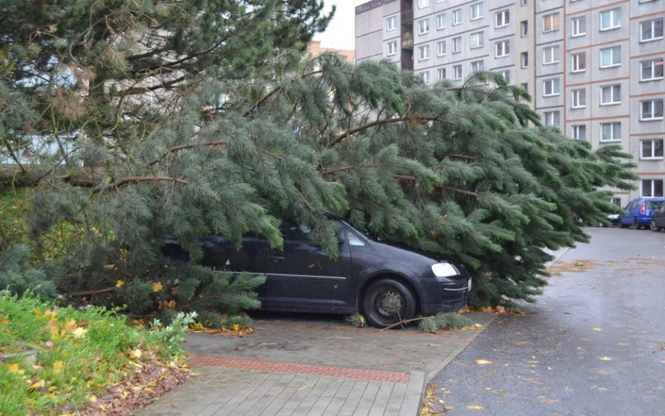 Ilustrační foto. 