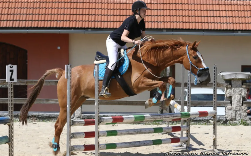 Závody v bezudidlové jízdě jsou rarita