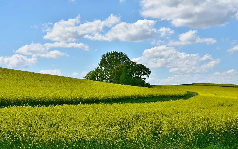 Ilustrační foto