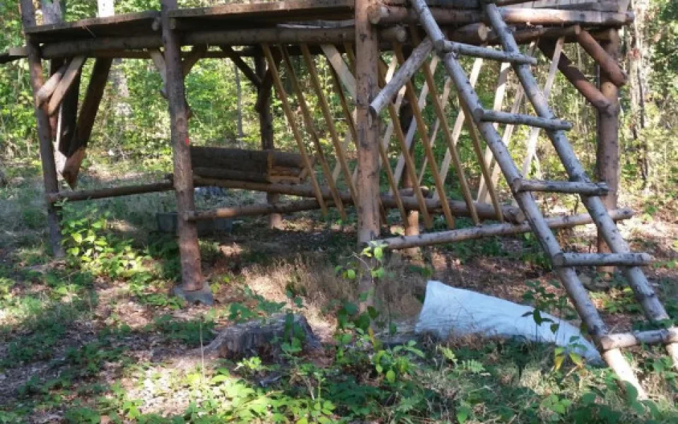 Kuriózní krádež na Novoborsku