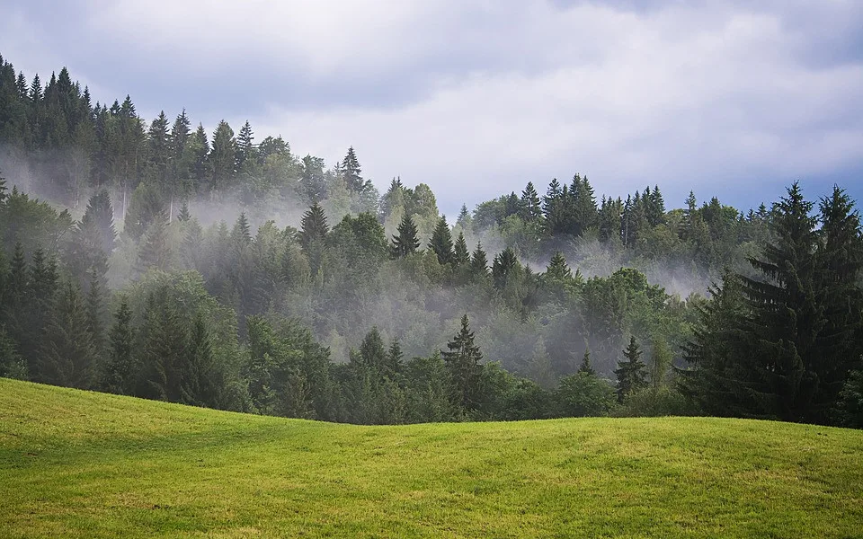Ilustrační foto.