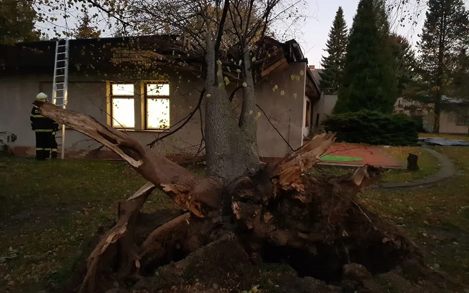 Strom spadl na školku v Hejnicích.