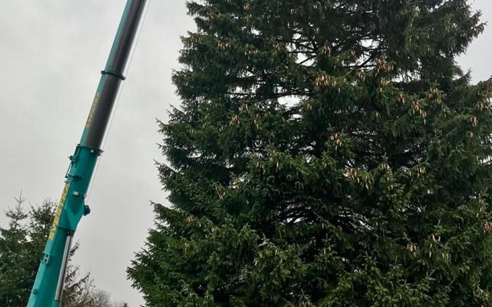 Strom pro Prahu je z Rynoltic