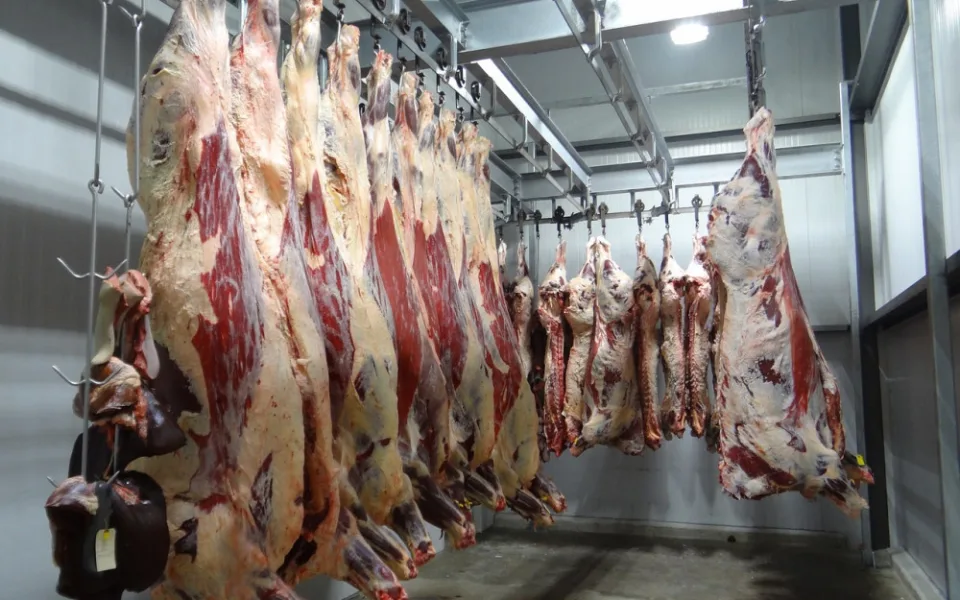 Ilustrační foto.
