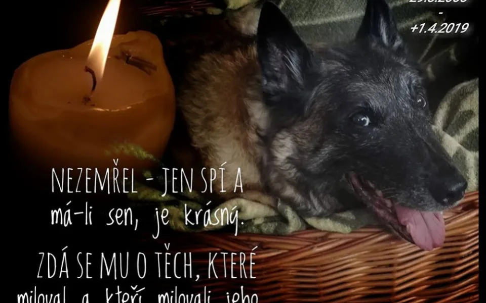 Cash odešel ve věku požehnaných 14 let.